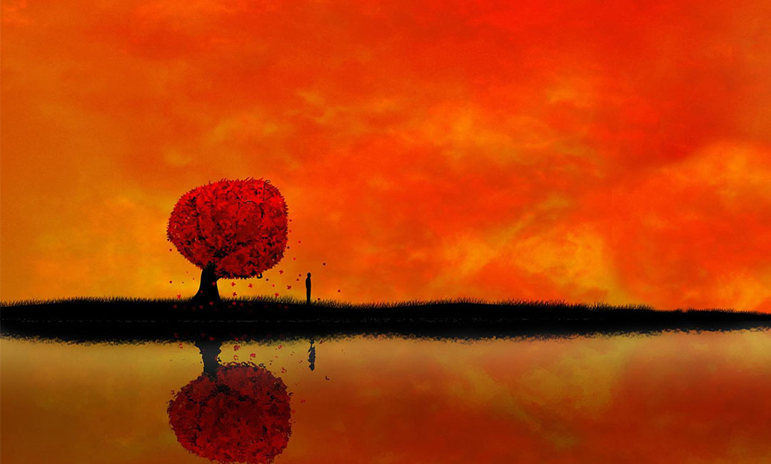 合肥笙影微信朋友圈转发案例